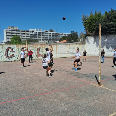 102.celis262